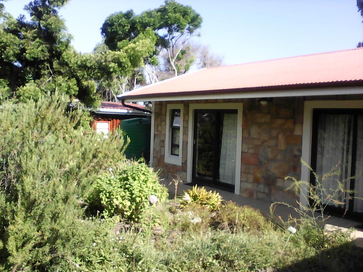 Forest Cove cottage Knysna Esterno foto