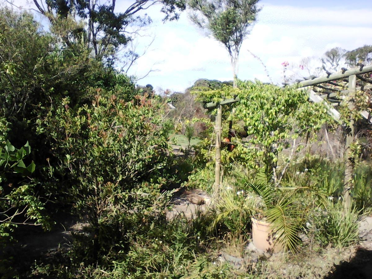 Forest Cove cottage Knysna Esterno foto
